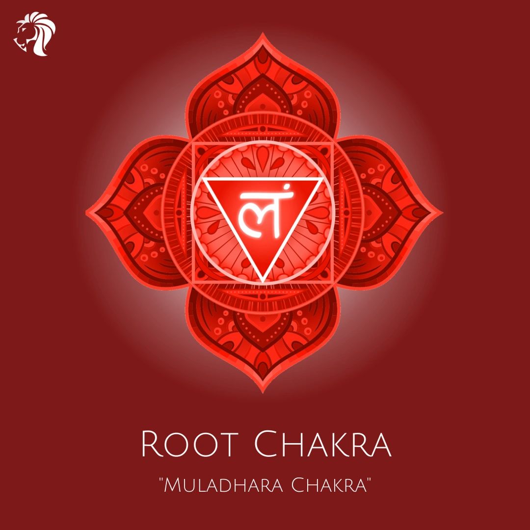 Root Chakra (Muladhara)